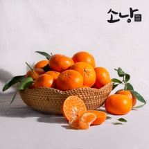 제주 천혜향 혼합과