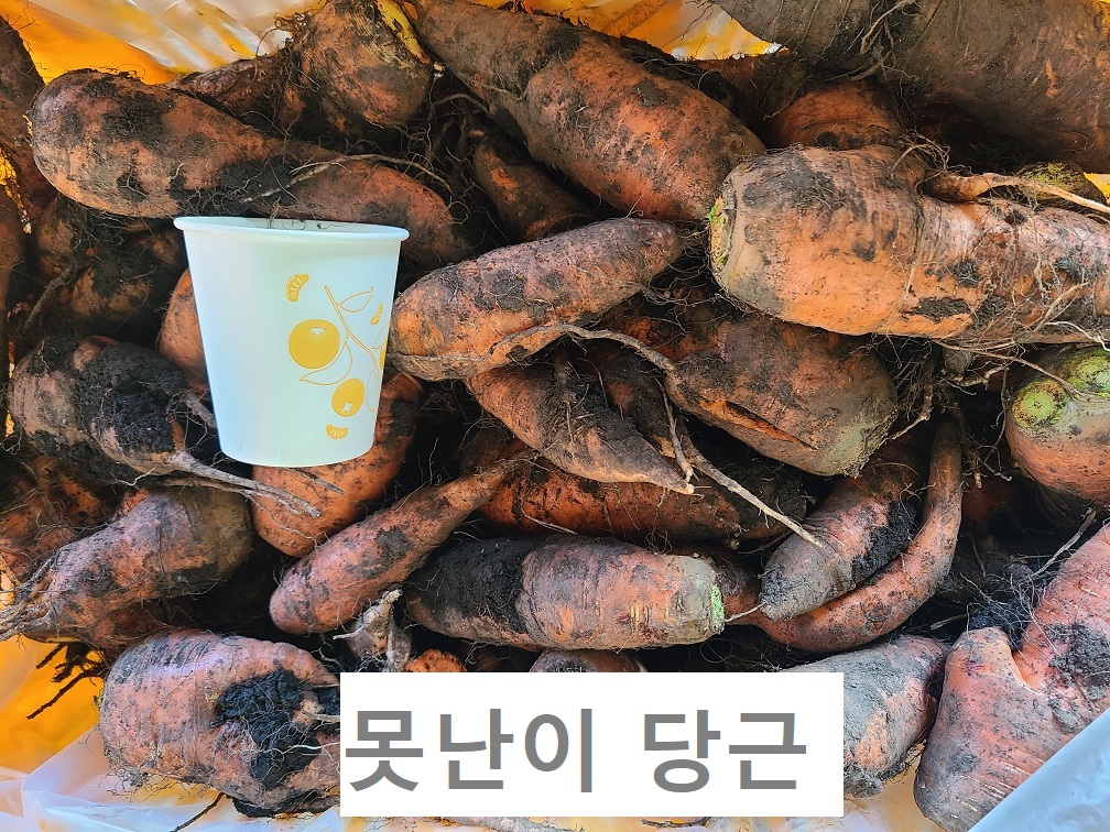 제주 유기농 흙당근 특/상/중 혼합 + 친환경 채소 꾸러미