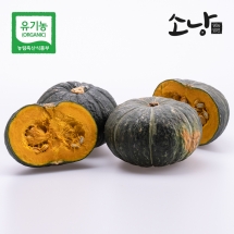 제주 유기농 미니밤호박