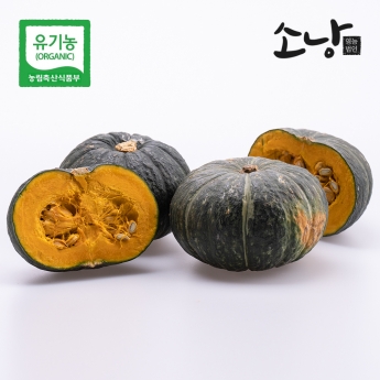 제주 유기농 미니밤호박