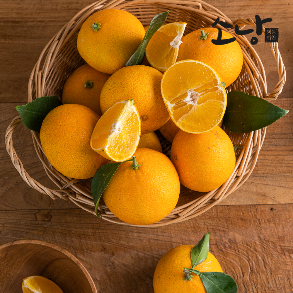 노지 무농약 황금향 중,소,꼬마과 혼합