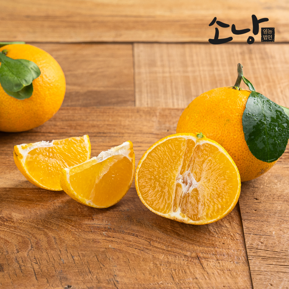 노지 무농약 황금향 중,소,꼬마과 혼합