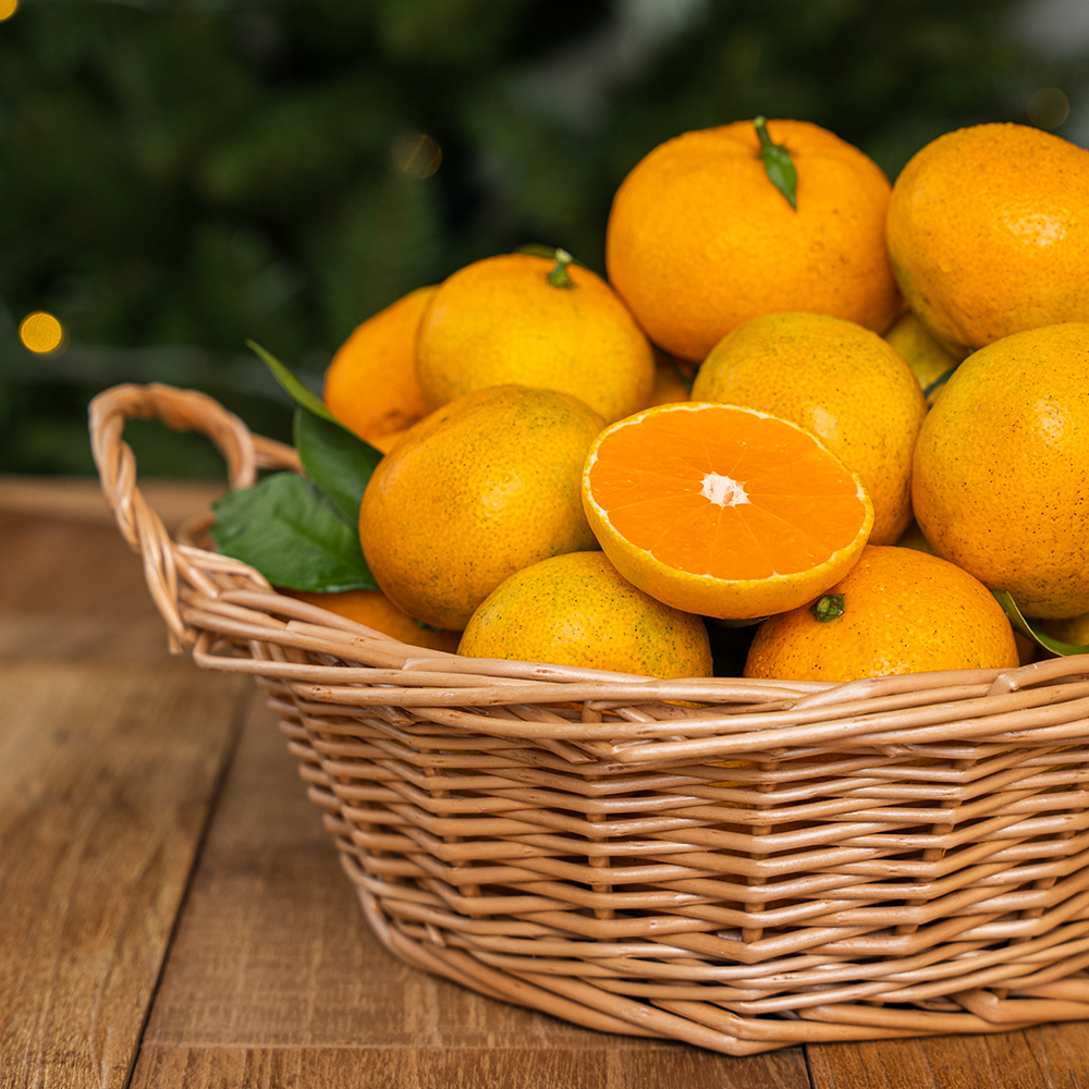 제주 무농약 노지 감귤, 달콤한 이시지 감귤