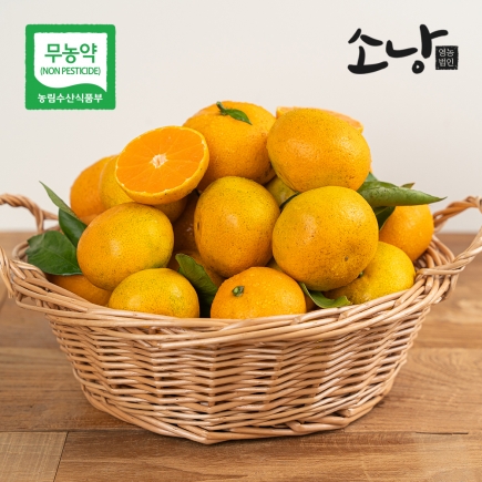 제주 무농약 노지 감귤, 달콤한 이시지 감귤