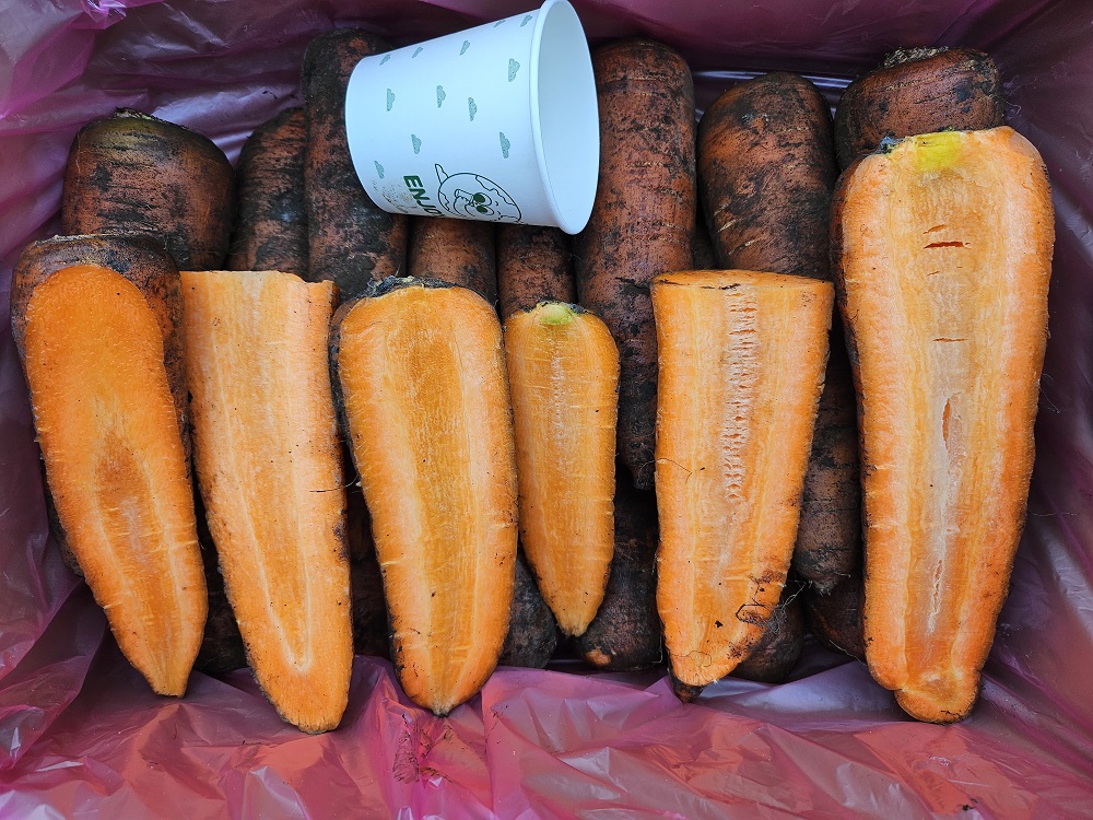 제주 유기농 당근 즙용 5Kg, 10Kg